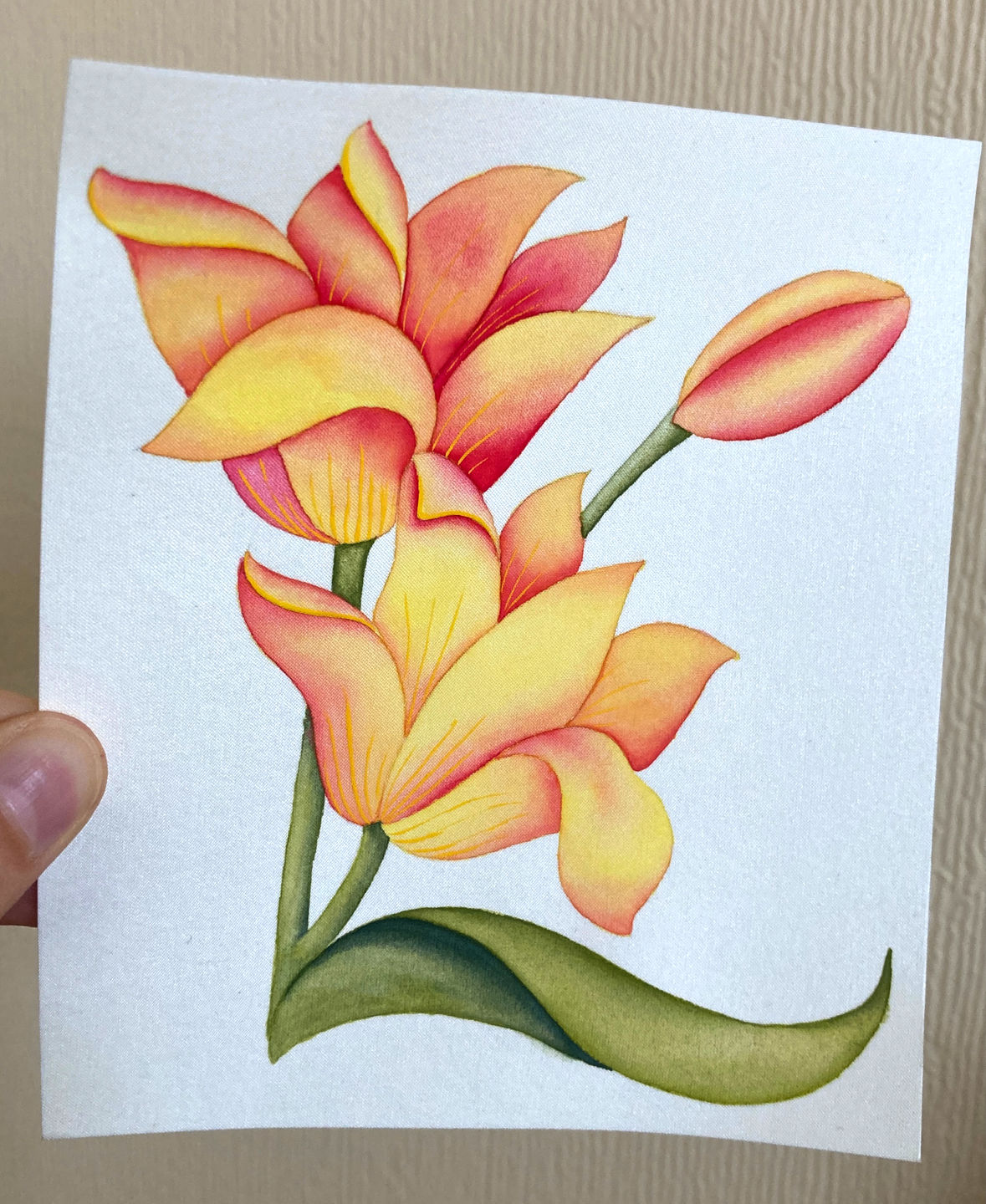 Customer photo review of Silk Paper