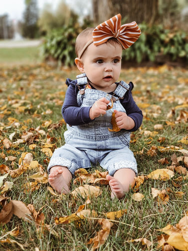 Customer photo review of Pumpkin Spice Preset Collection