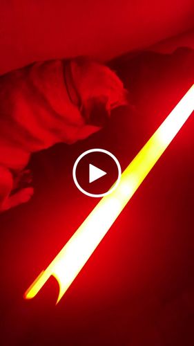 Customer video review of Knight | Saber