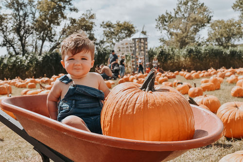Customer photo review of Creamy Moody Preset Collection