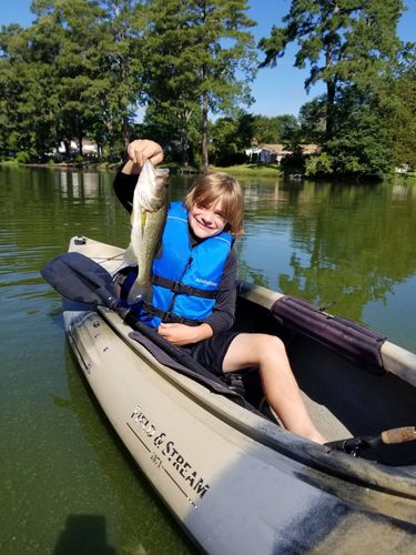 Customer photo review of Headbanger RockerHead 3-pack