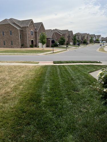 Customer photo review of The Five 0 Five