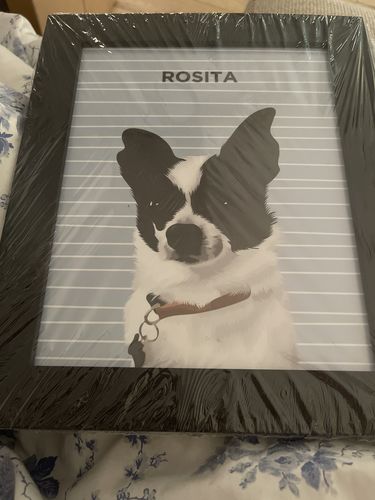 Customer photo review of Custom Modern Pet Portrait