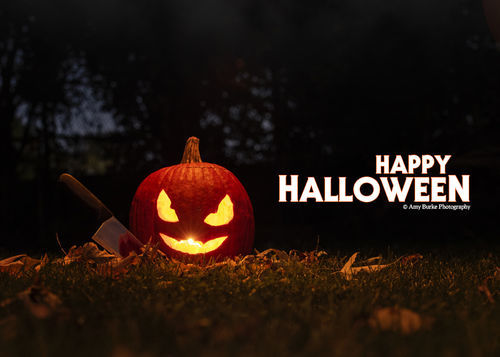 Customer photo review of Spooky Season Preset Collection