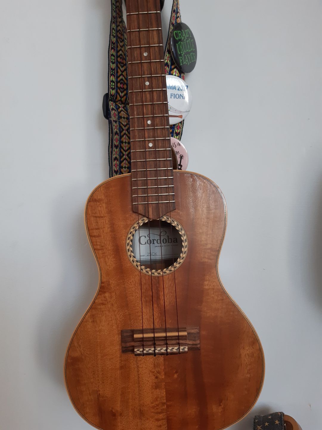 Customer photo review of BT Worth Brown Tenor Ukulele Strings High G Fluorocarbon 2 Restrings per Pack