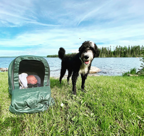 Customer photo review of Summer Linen - Hunter Green