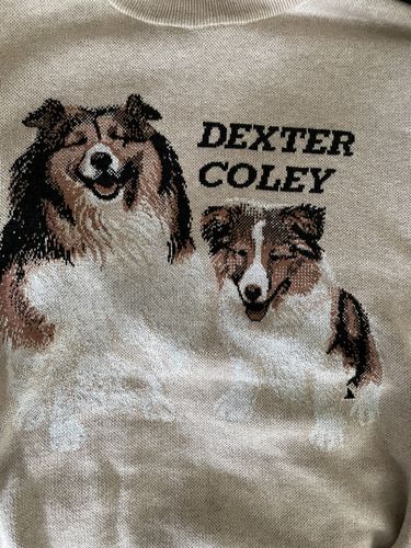 Customer photo review of Full-Body Pet Custom Sweater