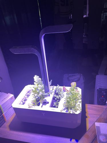 Customer photo review of 16,500 Heirloom Vegetable Seeds 40 Variety Kit with FREE SHIPPING