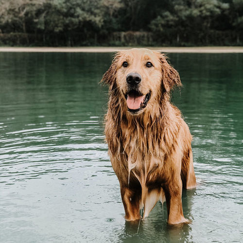 Customer photo review of Moody Preset Bundle
