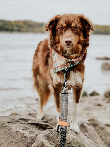 Customer photo review of Golden Boho Preset Collection