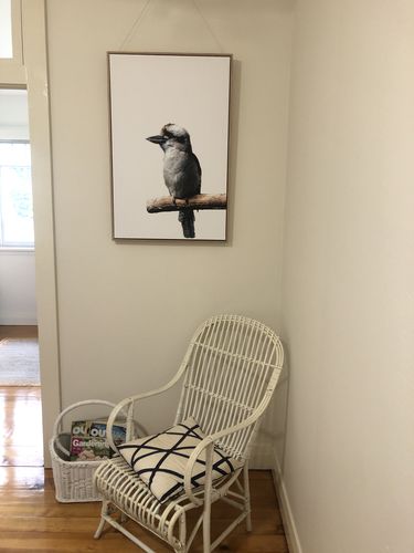Customer photo review of The Kookaburra's Perch