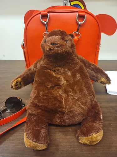 Customer photo review of SKOGGY BEAR