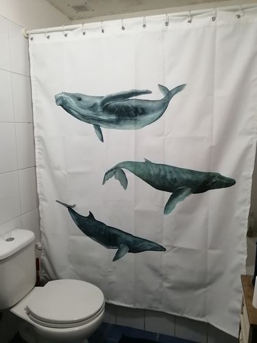 Customer photo review of Cortina de Baño Ballena Jorobada, Ballena Azul y Ballena Minke - fondo blanco