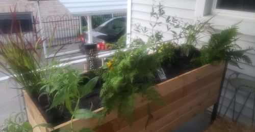 Customer photo review of 18" x 60" Raised Garden Bed