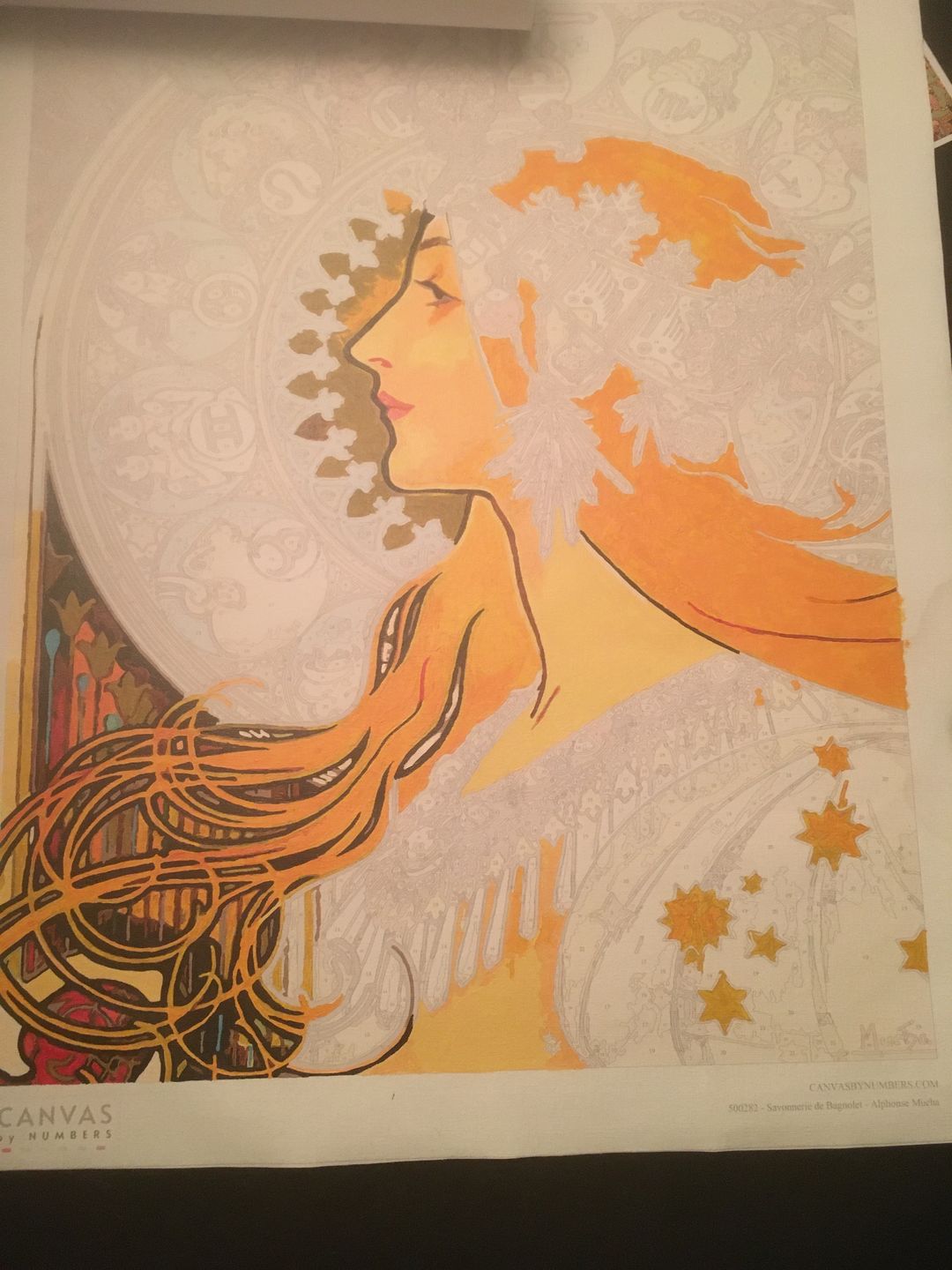 Customer photo review of Zodiac (1896) - Paint by Numbers