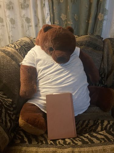 Customer photo review of SKOGGY BEAR