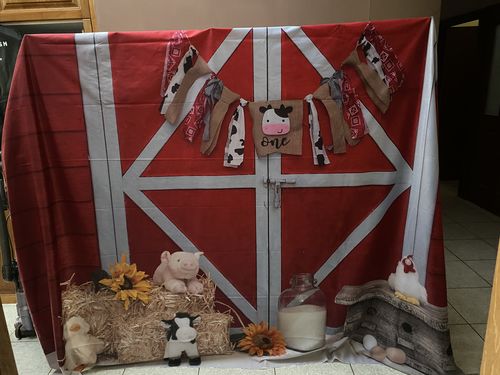 Customer photo review of Kate 1st Birthday Farm Animal Cake Smash Backdrop Designed By Alisha Byrem