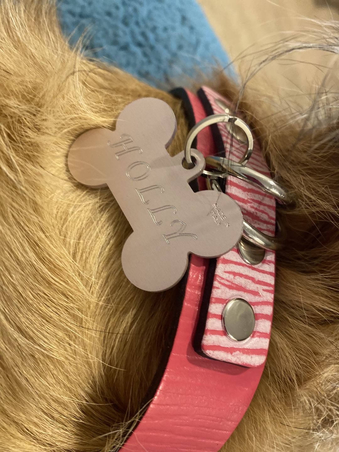 Customer photo review of Collar Duke Fucsia Corrugado/Rosado Corrugado
