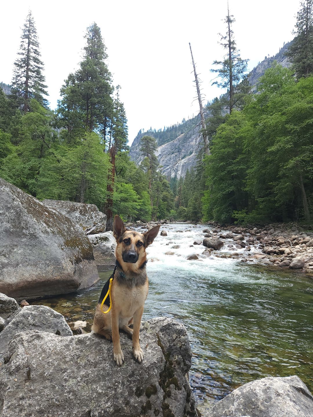 Customer photo review of Denali Training Tab