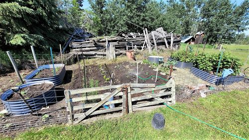 Customer photo review of 17” Tall Large Round