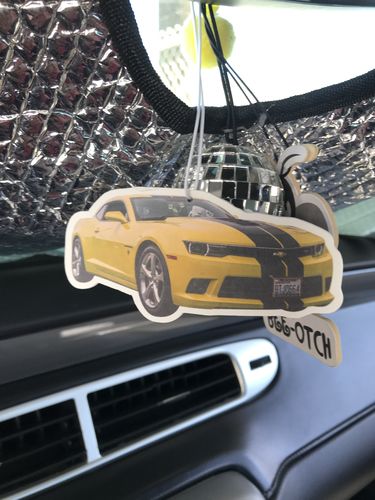 Customer photo review of Buy 1 Get 2 Free Special Offer + Free Shipping!