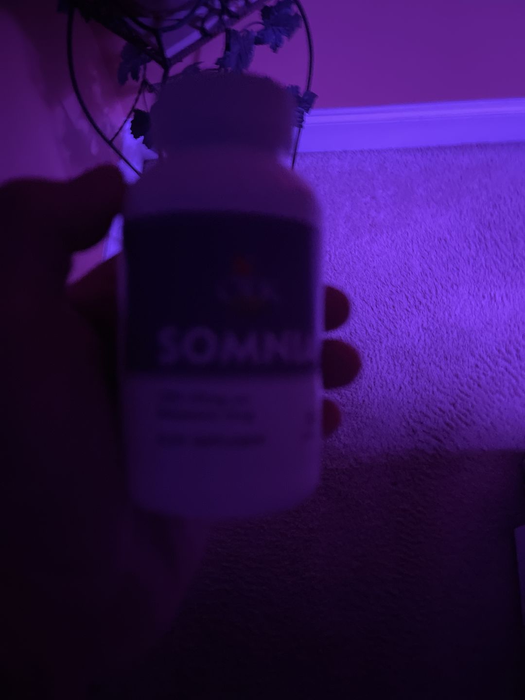 Customer photo review of Somnia Sleep Gummies