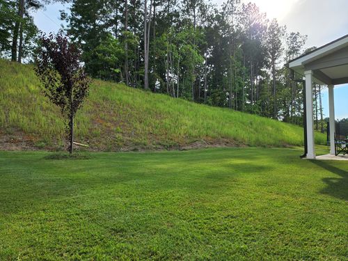 Customer photo review of N-Ext Humic12