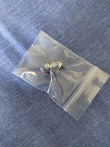 Customer photo review of 925 Sterling Silver Blue Butterfly Charm
