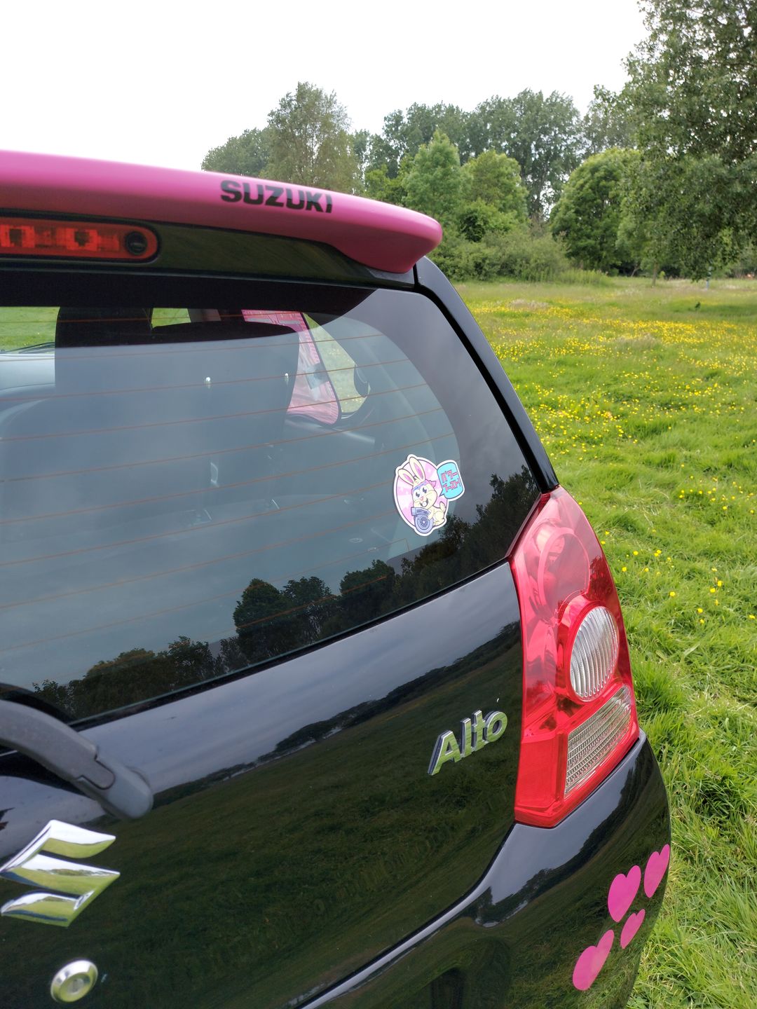 Customer photo review of Easter Bunny Turbo Sticker