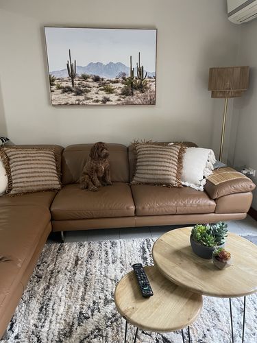 Customer photo review of Cacti Vistas