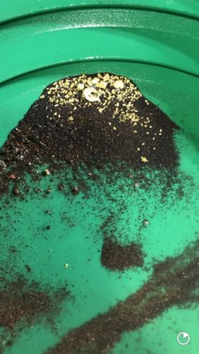 Customer photo review of *BOGO*: MAMMOTH 'TROY OUNCE NUGGET HUNT' Gold Paydirt - Gold Paydirt Concentrate