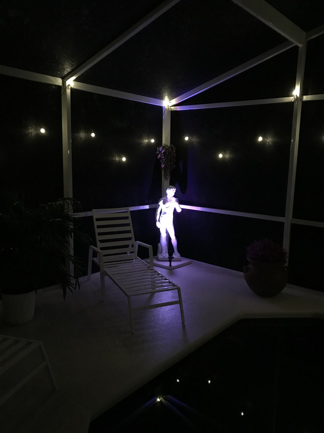 Customer photo review of TSUN 4/7 LEDs Outdoor Solar Spot Lights