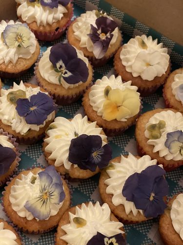 Customer photo review of VIOLAS - Freeze Dried Edible Flowers