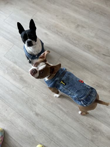 Customer photo review of Denim Vest