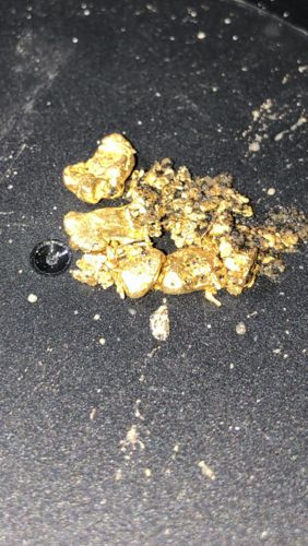 Customer photo review of *BOGO* Pioneer '2 OUNCE NUGGET HUNT' - Gold Panning Paydirt Concentrate