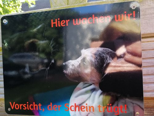 Customer photo review of Hunde-Türschild mit Foto & Wunschtext