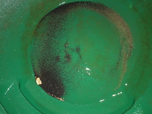 Customer photo review of *BOGO* Gold Diggers Delight '10 TROY OUNCE GOLD HUNT' - Gold Paydirt Panning Concentrates