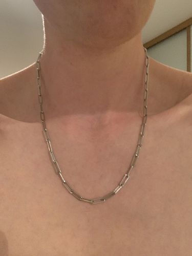 Customer photo review of Long Link (Silver) #100club