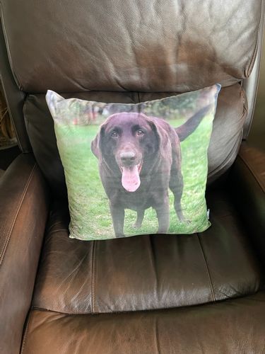 Customer photo review of Create A Custom Dog Pillow