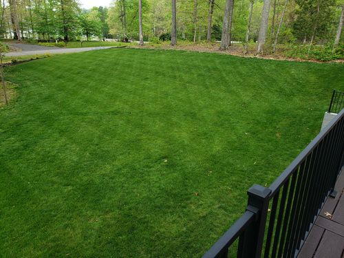 Customer photo review of N-Ext Humic12 2.5 Gallon (Build-a-Box)