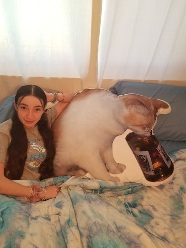 Customer photo review of Create A Custom Cat Pillow