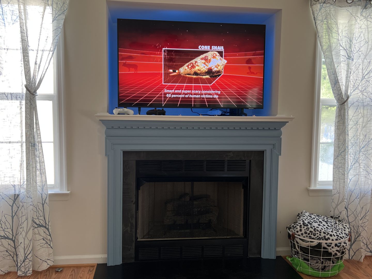 Customer photo review of Good Day Sunshine - One Step Paint