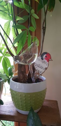 Customer photo review of Mon petit oiseau - Le Jardin de Mamie®
