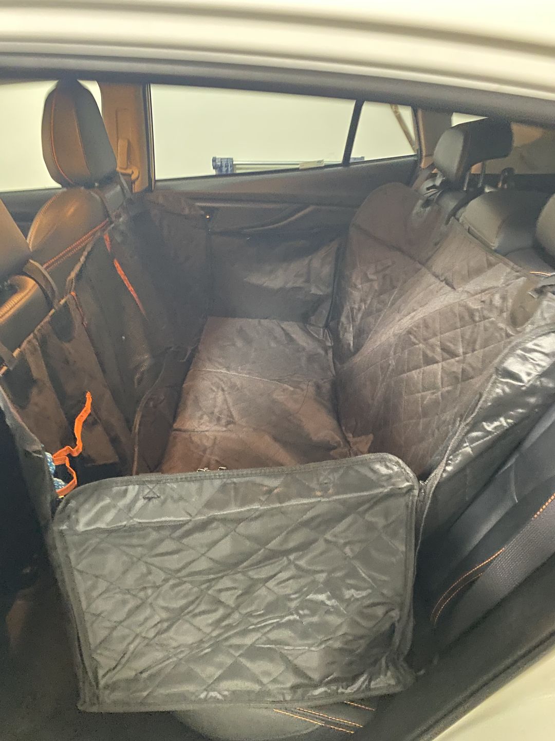 Customer photo review of Waterproof Pet Car Seat Cover With Mesh Window + Free Buckle Leash