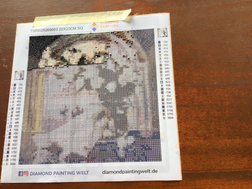 Kundenbewertung mit Foto zu Weiße Rose - Tauben