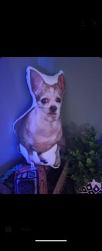 Customer photo review of Create A Custom Dog Pillow
