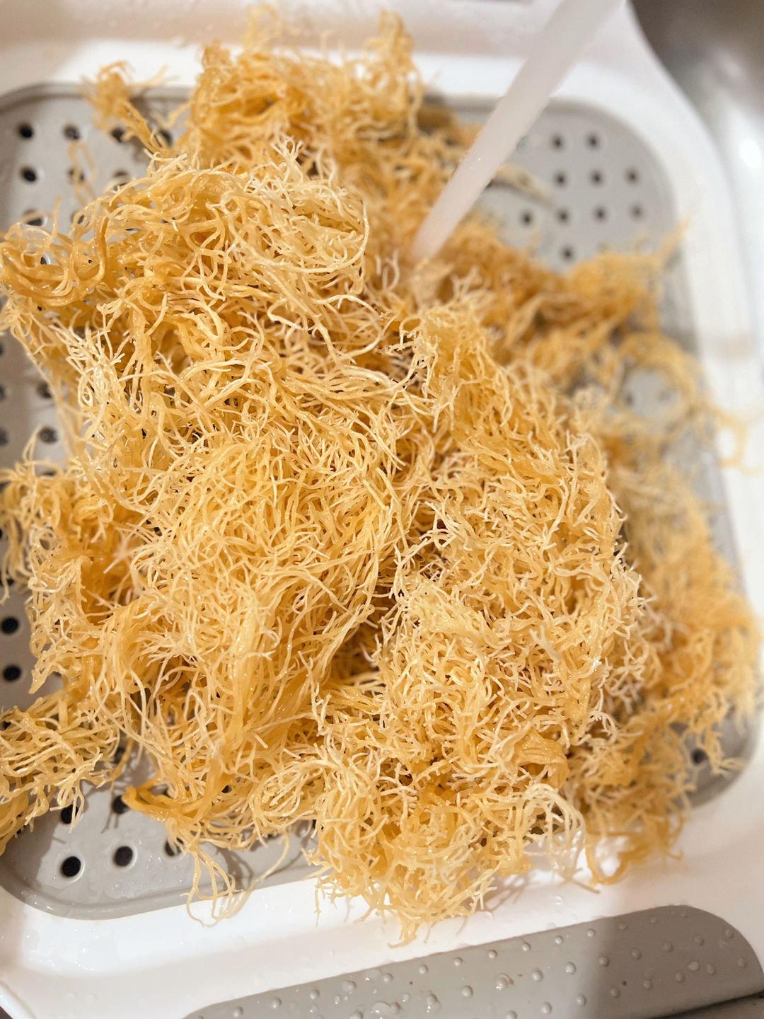 Customer photo review of Premium Gold Wildcrafted Raw Sun Dried Sea Moss