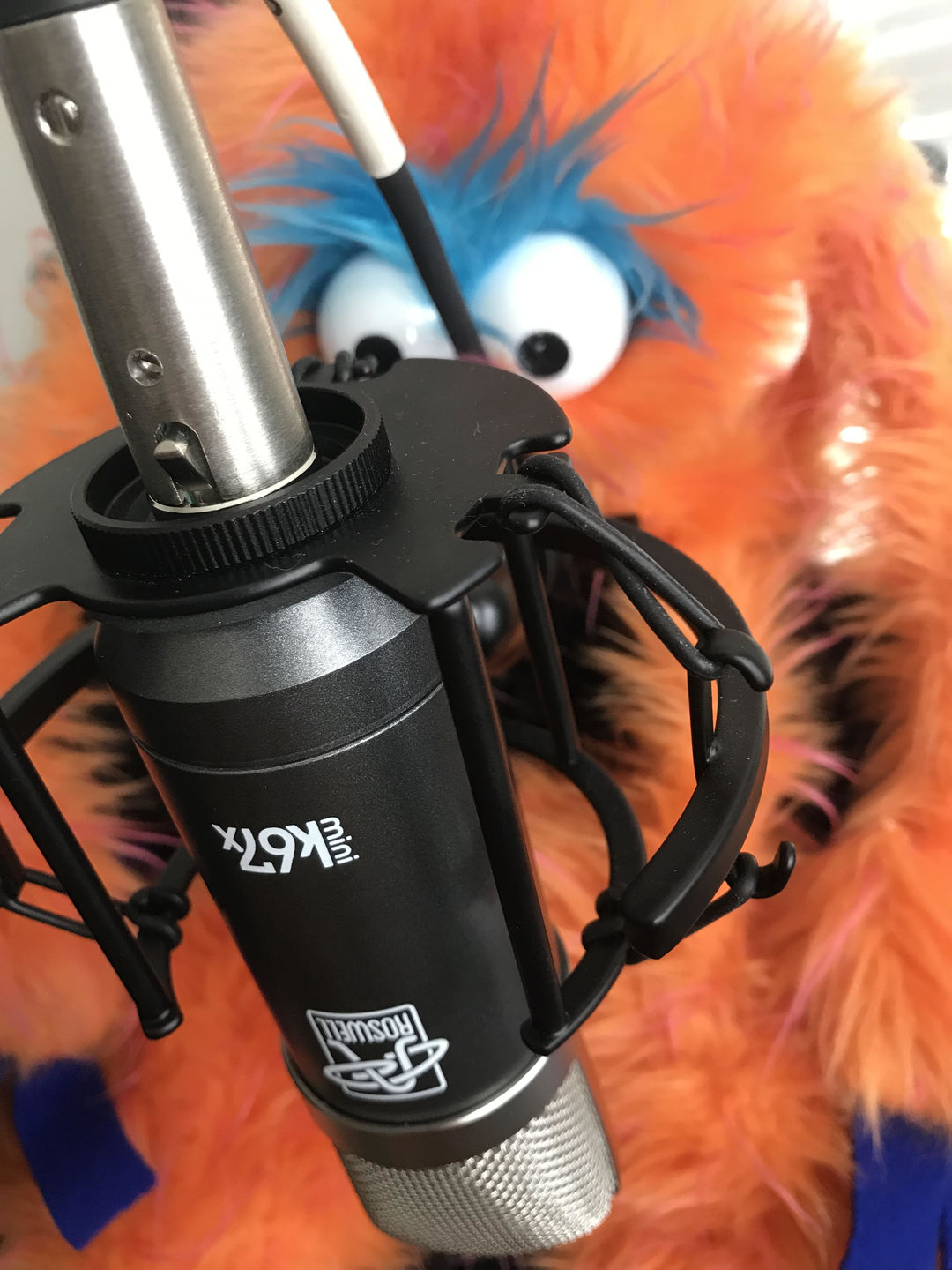 Customer photo review of Mini K67x Condenser Microphone