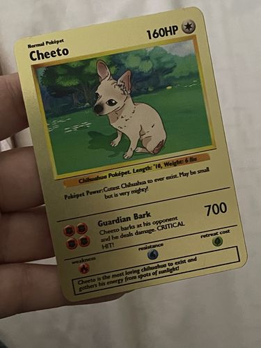 Customer photo review of Number of Pokepets and Trainers