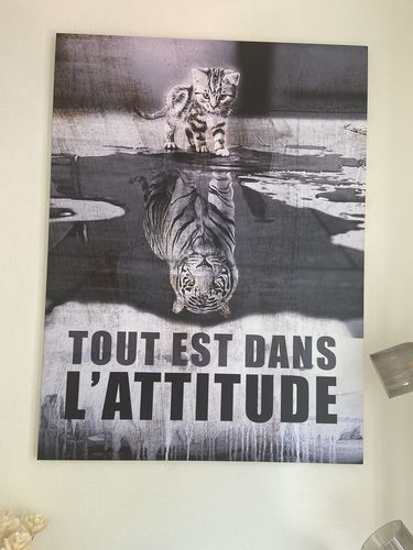 Customer photo review of Tableau Motivation Attitude Chat Tigre